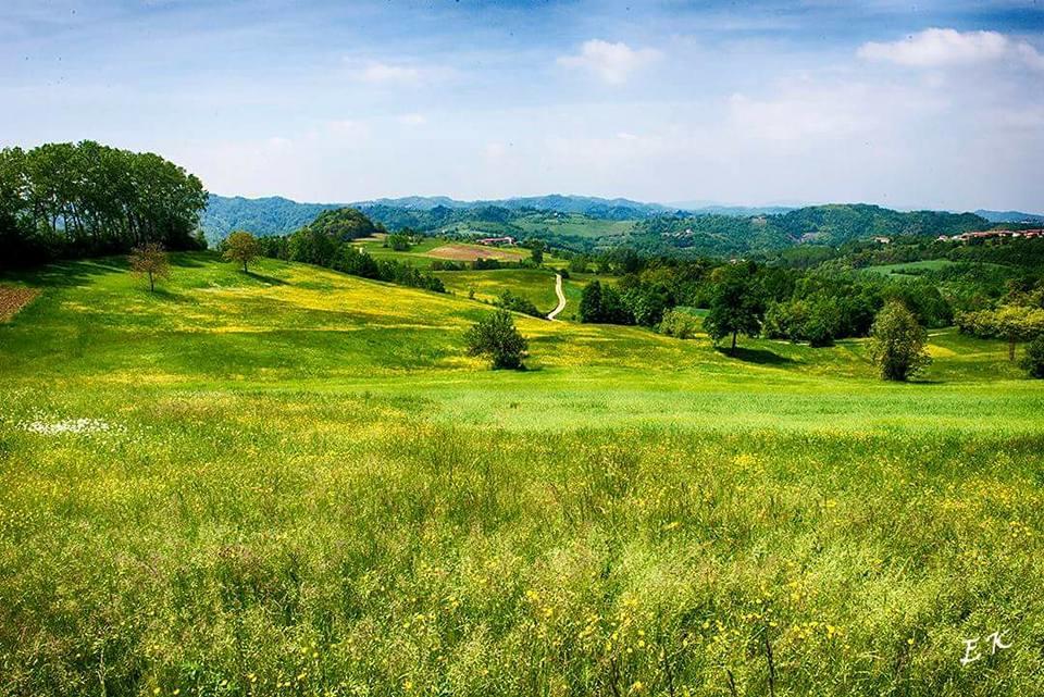 Ca Borgo Vecchio Aparthotel Brusasco ภายนอก รูปภาพ
